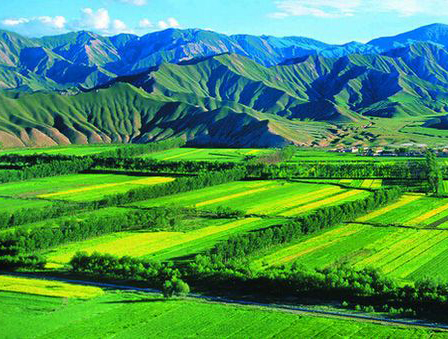 关于印发《土地登记代理专业人员职业资格制度暂行规定》和《土地登记代理人执业资格考试实施办法》的通知